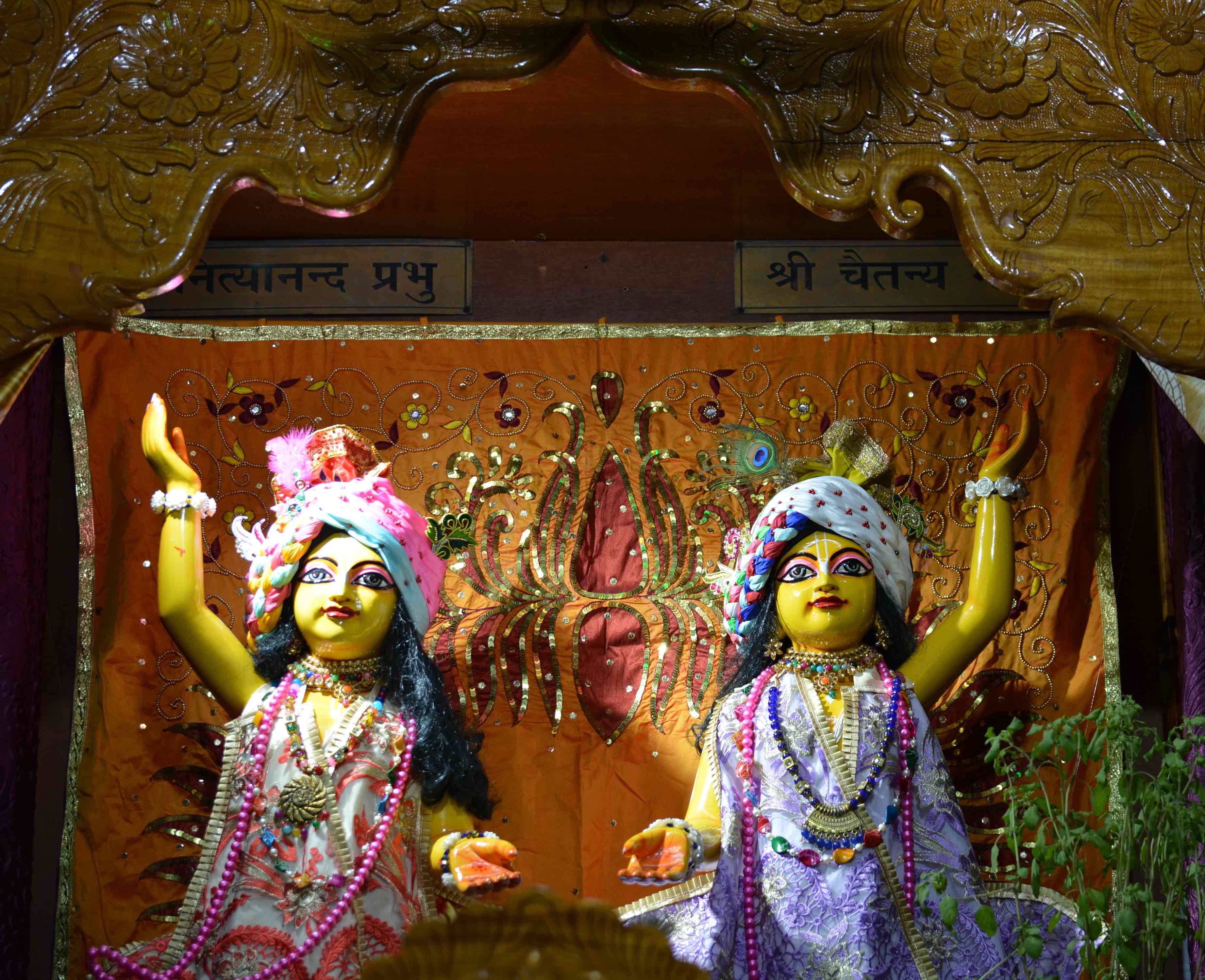 Gallery 6